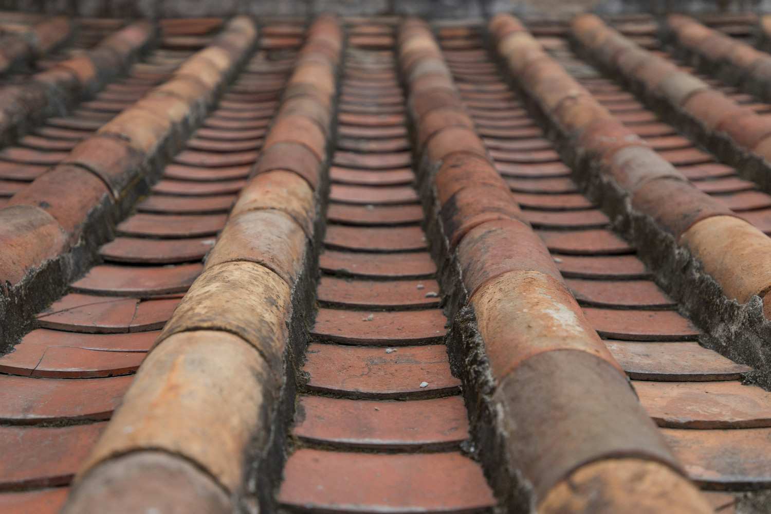 Shingles Roof Replacement