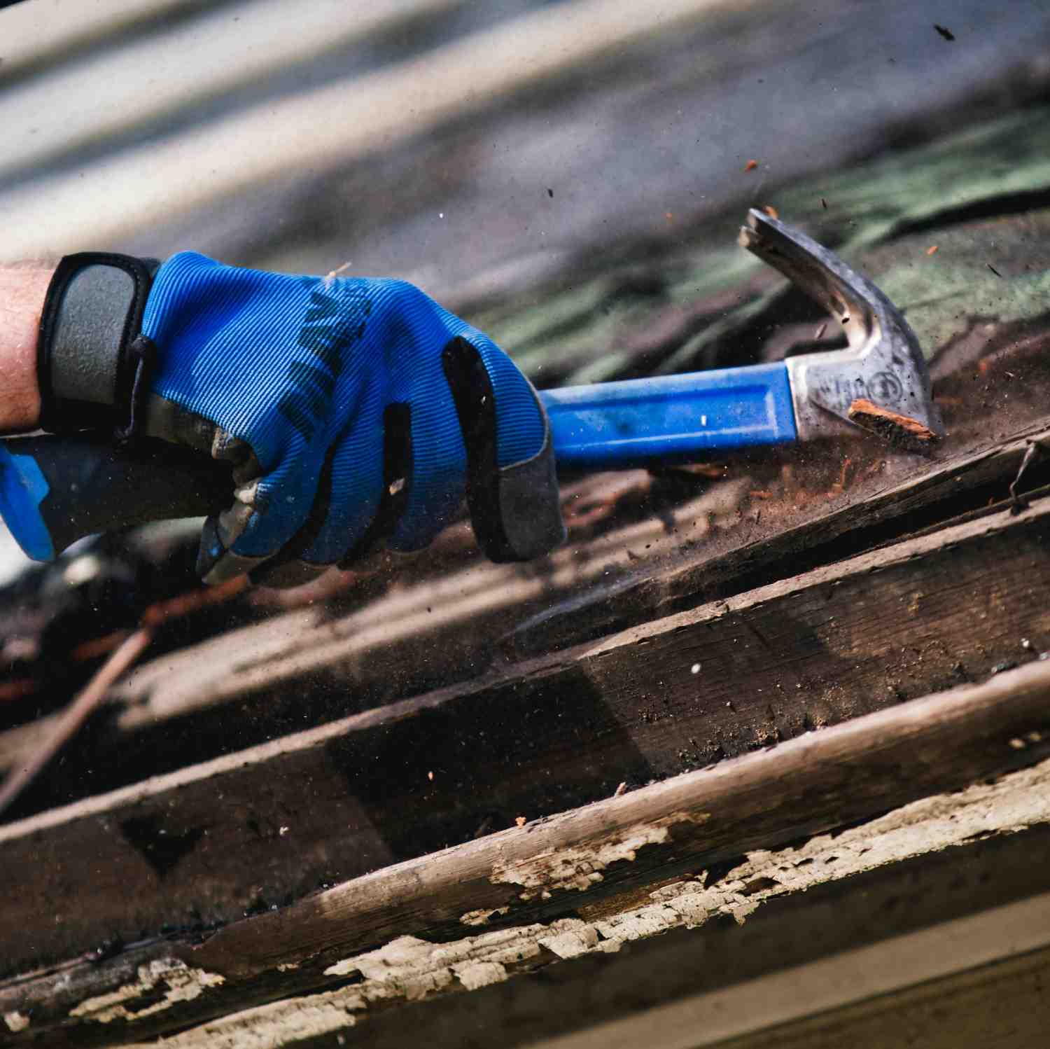 Roof Replacement
